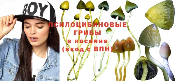 PSILOCYBIN Лиски