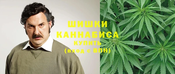 PSILOCYBIN Лиски