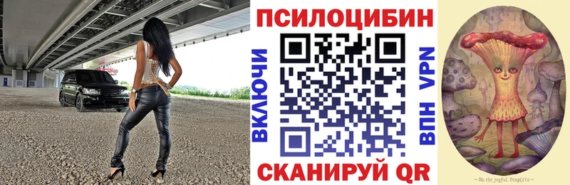 Псилоцибиновые грибы ЛСД  Купить закладки  Ясный 